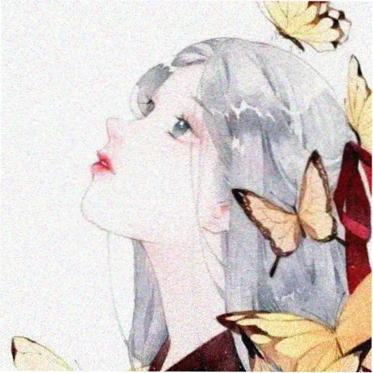 道友 拾光阿离 的头像